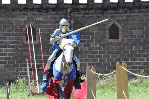 Baroque Horse Festival - Accommodation Georgetown 1