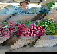 Berry Farmers' Market - Accommodation Georgetown