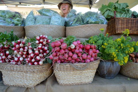 Berry Farmers' Market - Accommodation Georgetown 0