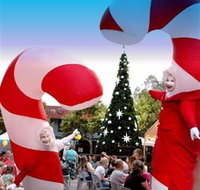 Blacktown Christmas Light Up Concert - Accommodation Georgetown
