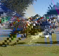 Casino Golf Club Markets - Accommodation Georgetown