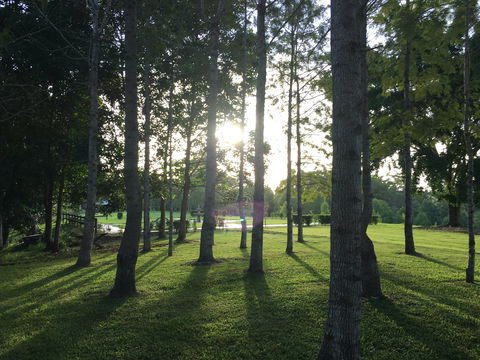 Celebration Outing Special - Accommodation Georgetown 0