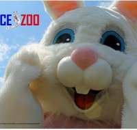 Easter Egg-stravaganza - Accommodation Georgetown