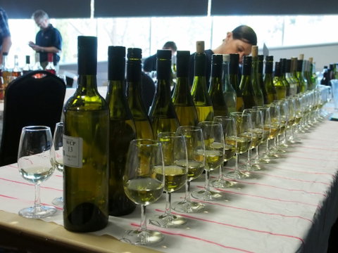 Eltham And District Wine Guild Annual Wine Show - 51st Annual Show - Accommodation Georgetown 1