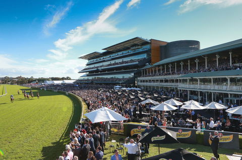George Main Stakes Day - Accommodation Georgetown 1