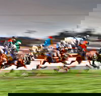 Grafton July Racing Carnival - Accommodation Georgetown