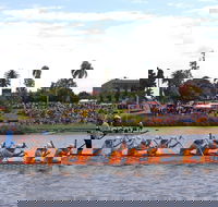Jacaranda Dragon Boat Races - Accommodation Georgetown