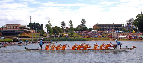 Jacaranda Dragon Boat Races - Accommodation Georgetown 0