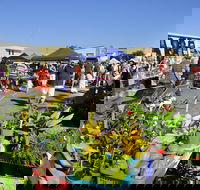 Maclean Community Monthly Markets - Accommodation Georgetown