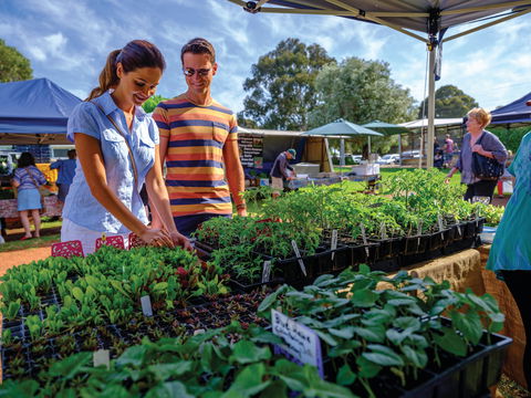 Margaret River Farmers Market - Accommodation Georgetown 1