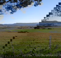 Milton Village Showground Markets - Accommodation Georgetown