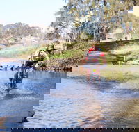 Mountain Man Tri Challenge - Accommodation Georgetown