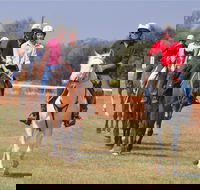 Pride of the West Races 2020 - Accommodation Georgetown