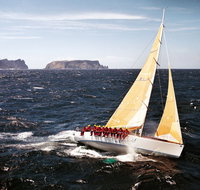 Rolex Sydney Hobart Yacht Race - Accommodation Georgetown
