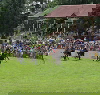 Tumut Derby Day - Accommodation Georgetown