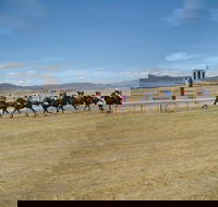 Adaminaby Cup Race Day - Accommodation Georgetown