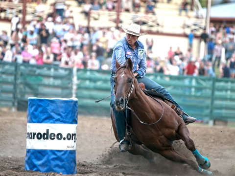 AgriWest Cooma Rodeo - Accommodation Georgetown 1