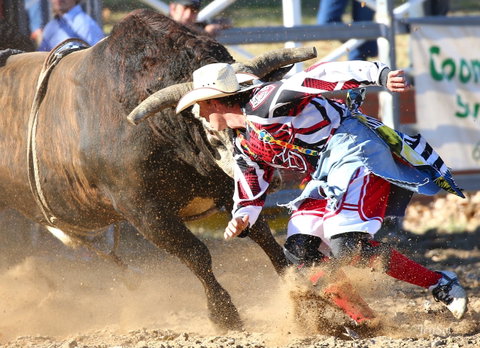 AgriWest Cooma Rodeo - Accommodation Georgetown 2