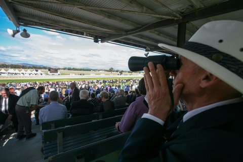 Albury Racing Club Boxing Day Races - Accommodation Georgetown 1
