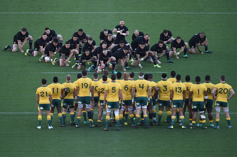 Bledisloe Cup: Qantas Wallabies Versus All Blacks - Accommodation Georgetown 0