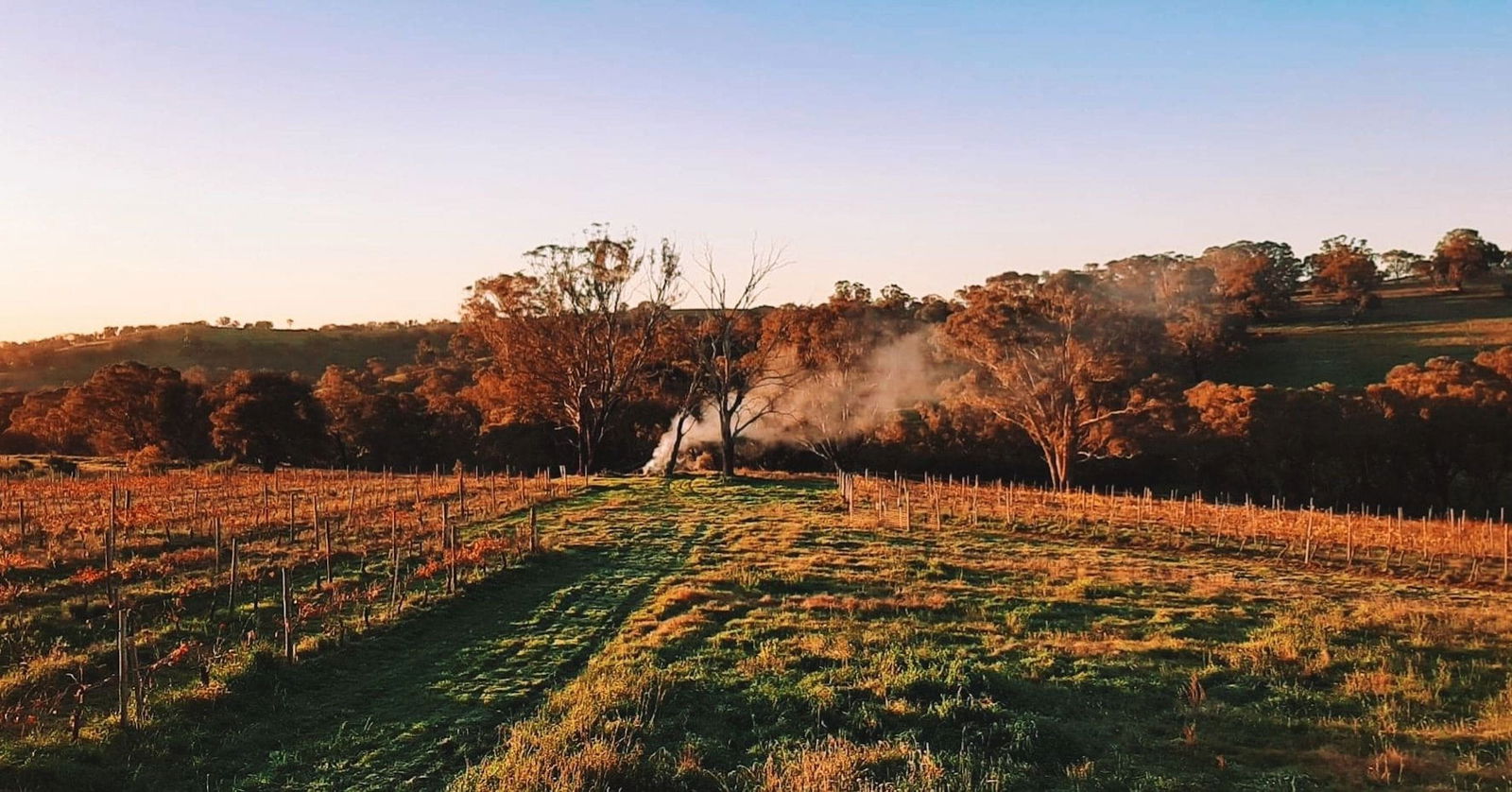 Lidster NSW Accommodation Georgetown