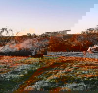 Cargo Road Wines Grande Fiamma - Accommodation Georgetown