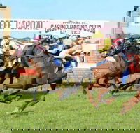 Casino Cup - Accommodation Georgetown