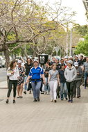 Sydney Entertainment Venues Accommodation Georgetown Accommodation Georgetown