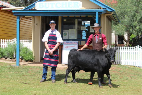 Festival Of The Big Cow - Accommodation Georgetown 2