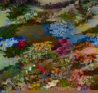 Glenrock Gardens Open Garden - Accommodation Georgetown