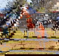 Glen Innes Pastoral and Agricultural Show - Accommodation Georgetown