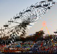 Grafton Show - Accommodation Georgetown