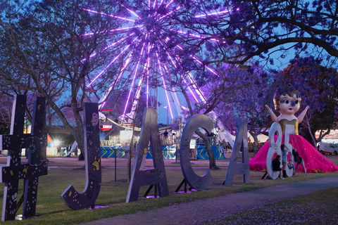 Grafton Jacaranda Festival - Accommodation Georgetown 0