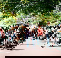 Hahndorf Christkindlmarkt - Accommodation Georgetown