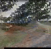 Hartwood Campfires and Country Music - Accommodation Georgetown