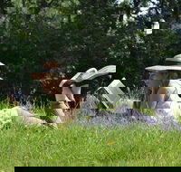 High Country Writers Festival - Accommodation Georgetown