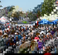 Hunter Valley Caravan Camping 4WD Fish and Boat Show - Accommodation Georgetown