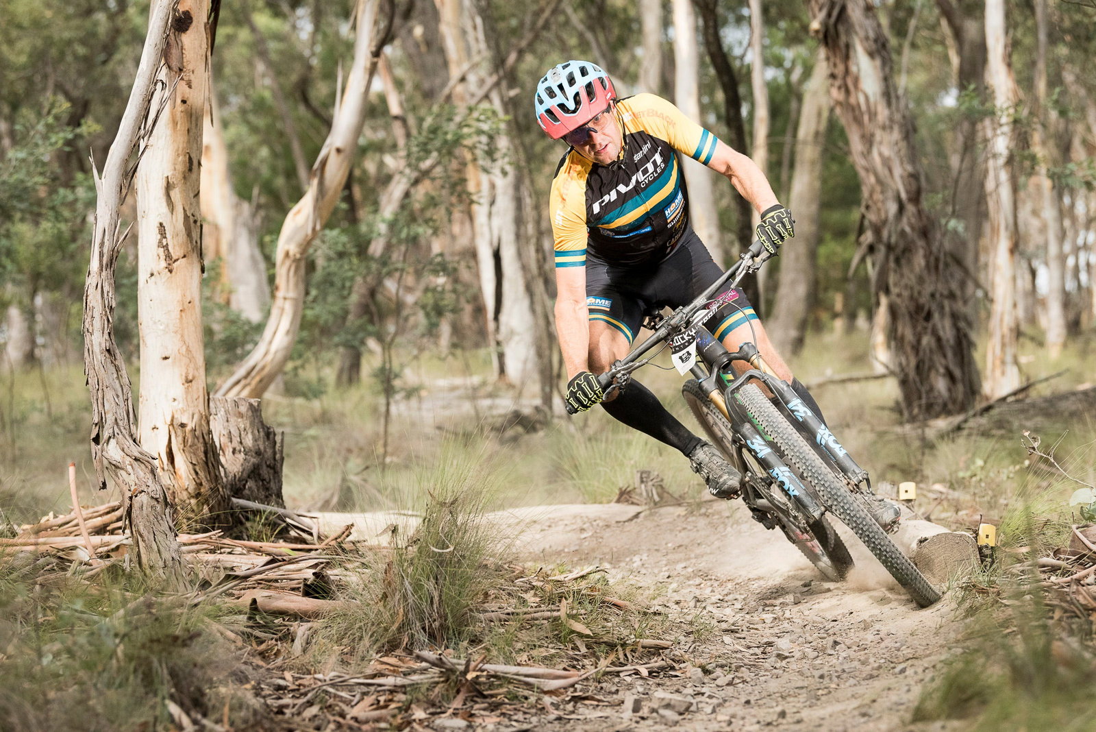 Rydal NSW Accommodation Georgetown