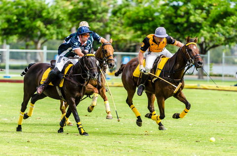 Land Rover Polo  In The City - Accommodation Georgetown 1