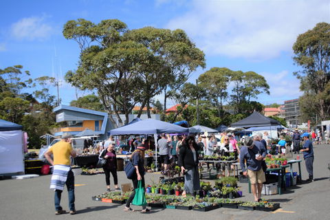 Marine Rescue Ulladulla Wharf Markets - Accommodation Georgetown 1