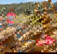 Mini Muddies Obstacle Challenge at Bunnamagoo Estate - Accommodation Georgetown