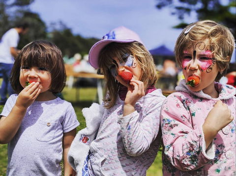 Mt Martha Farmers' Market - Accommodation Georgetown 1