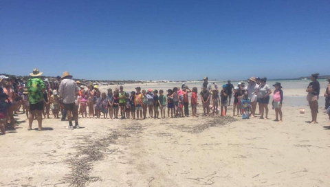 Perlubie Beach Sports Day - Accommodation Georgetown 1
