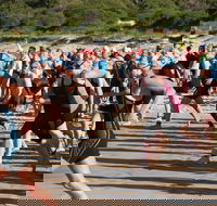 Port Stephens Triathlon Festival - Accommodation Georgetown