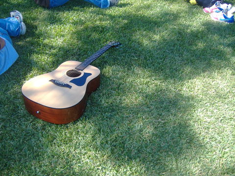 Rosewood Country Round Up Music Festival - Accommodation Georgetown 0