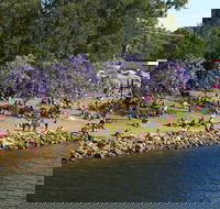 Shoalhaven River Festival - Accommodation Georgetown