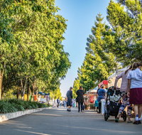 Springfield Markets - Accommodation Georgetown