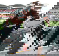 Stadium Stomp Adelaide Oval - Postponed - Accommodation Georgetown