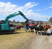 SteamFest 2021 - Accommodation Georgetown
