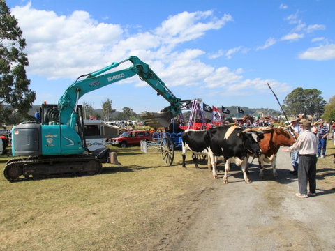SteamFest 2021 - Accommodation Georgetown 0